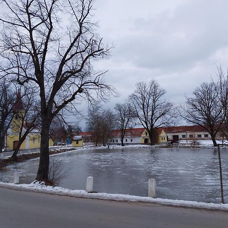 Ubytovani U Dvoraku Veselí nad Lužnicí Eksteriør bilde